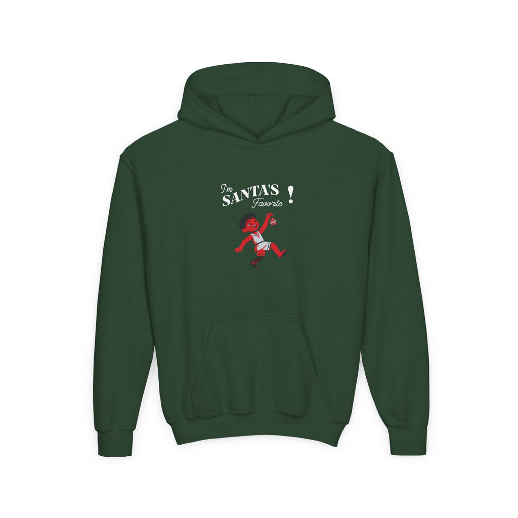 Youth Hoodie - "I'm Santa's Favorite" Christmas Elf Holiday Sweatshirt
